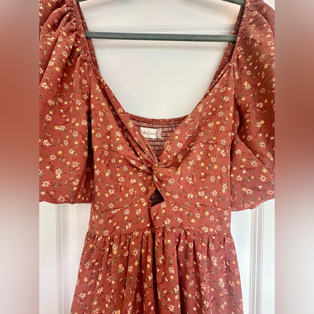 Altar’d State Danielyn Floral Dress - Picture 3 of 4